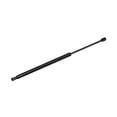 thumbnail image 1 of Rear Liftgate Lift Support For 2011-2020 Toyota Sienna w/o Power Lift Gate, 1 of 4