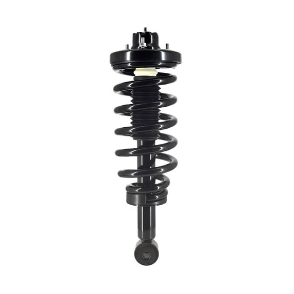 Rear Quick Complete Strut and Coil Spring For 2003 - 2006 Ford Expedition