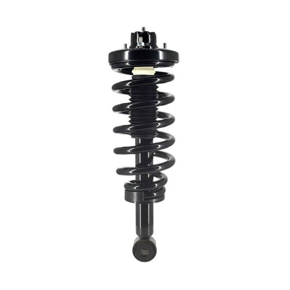 Rear Quick Complete Strut and Coil Spring For 2003 - 2006 Ford Expedition