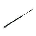 thumbnail image 1 of Rear Right Liftgate Lift Support For 1989-1995 Plymouth Colt, 1 of 5