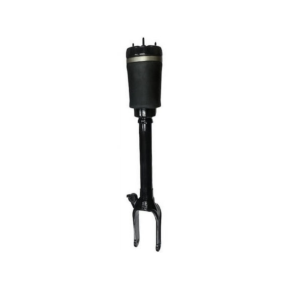 Rear Shock Absorber - Compatible with 2010 - 2011 Mercedes-Benz ML450