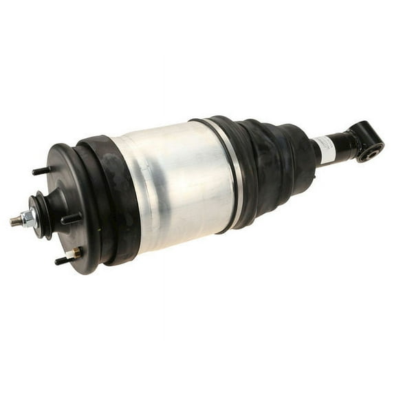 Rear Shock Absorber Strut Assembly - Compatible with 2006 - 2009, 2011 - 2013 Land Rover Range Rover Sport 2007 2008 2012