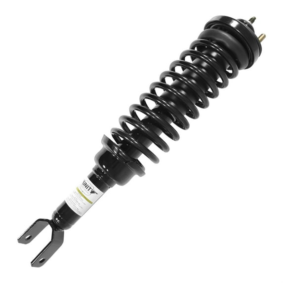 Unity 15220 Rear Complete Strut Assembly