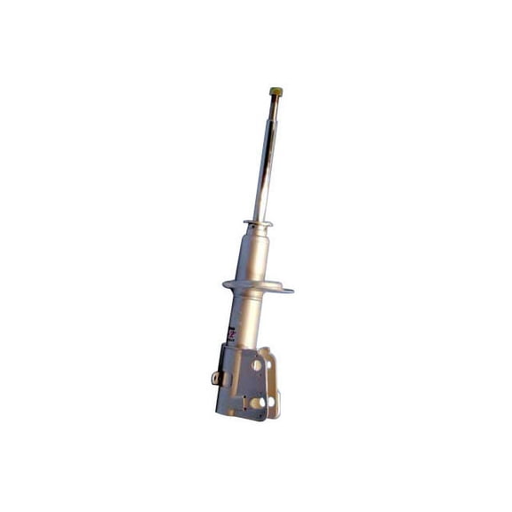 Rear Strut Assembly - Compatible with 1984 - 1987 Pontiac Fiero 1985 1986