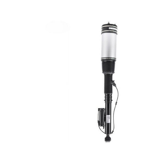 Rear Strut Assembly - Compatible with 1999 Mercedes-Benz S320