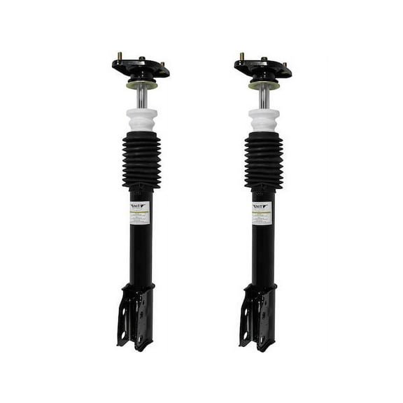Rear Strut Assembly Kit - Compatible with 1986 - 1999 Buick LeSabre 1987 1988 1989 1990 1991 1992 1993 1994 1995 1996 1997 1998