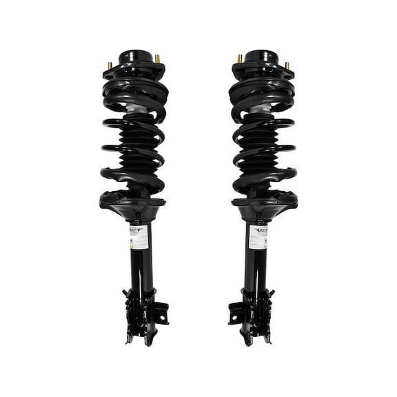 Rear Strut Assembly Kit - Compatible with 1993 - 1999 Nissan Altima 1994 1995 1996 1997 1998