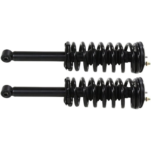 Rear Strut Assembly Kit - Compatible with 1996 - 1999 INFINITI I30 1997 1998