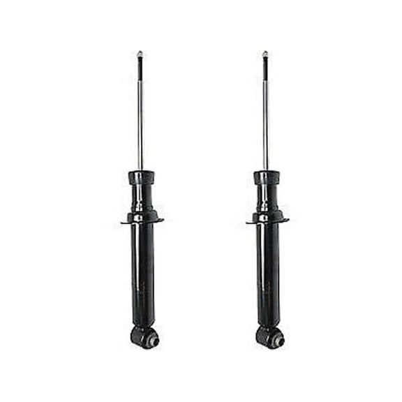 Rear Strut Assembly Kit - Compatible with 1997 - 2003 BMW 540i Sedan 1998 1999 2000 2001 2002
