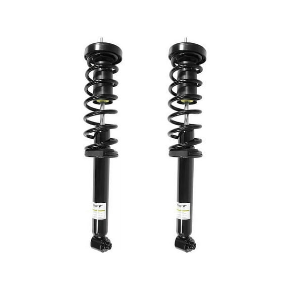 Rear Strut Assembly Kit - Compatible with 1998 - 2003 BMW 540i 1999 2000 2001 2002