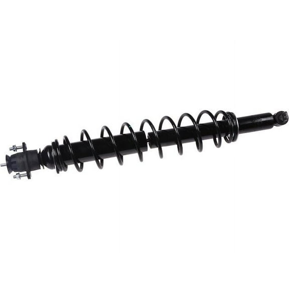 Rear Strut and Coil Spring Assembly - Compatible with 2000 - 2005 Buick LeSabre 2001 2002 2003 2004