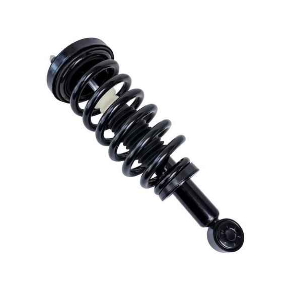 Rear Strut and Coil Spring Assembly - Compatible with 2003 - 2006 Ford Expedition 2004 2005