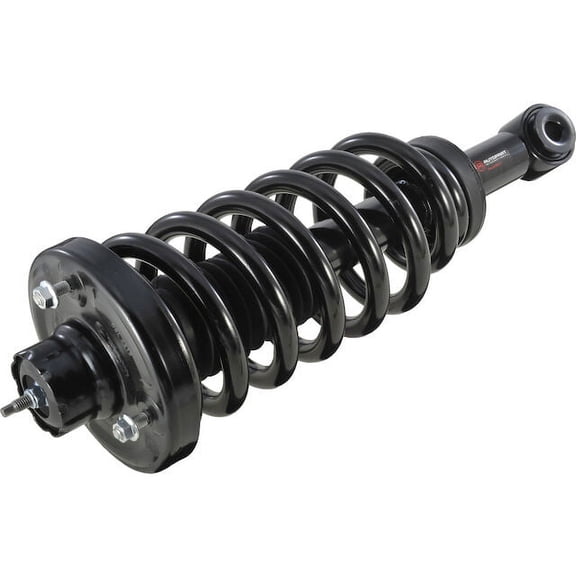 Rear Strut and Coil Spring Assembly - Compatible with 2003 - 2006 Ford Expedition 2004 2005