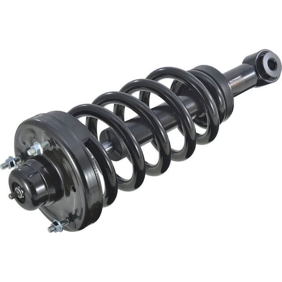 Rear Strut and Coil Spring Assembly - Compatible with 2007 - 2017 Ford Expedition 2008 2009 2010 2011 2012 2013 2014 2015 2016