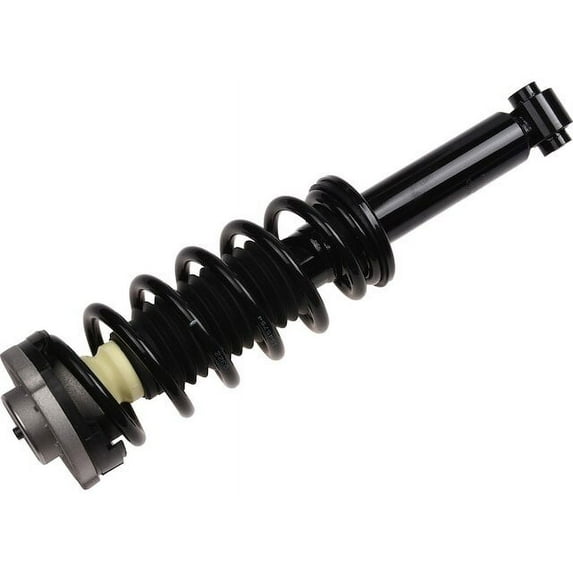 Rear Strut and Coil Spring Assembly - Compatible with 2015 - 2018 BMW X4 2016 2017