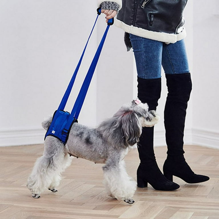 Help old dogs climb stairs hot sale