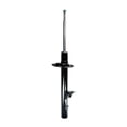 thumbnail image 1 of Rear Suspension Strut Assembly For 1993-1997 Chrysler Intrepid, 1 of 3