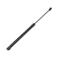 thumbnail image 1 of Rear Trunk Strut - Compatible with 2004 - 2005 BMW 645Ci E63 Coupe, 1 of 2
