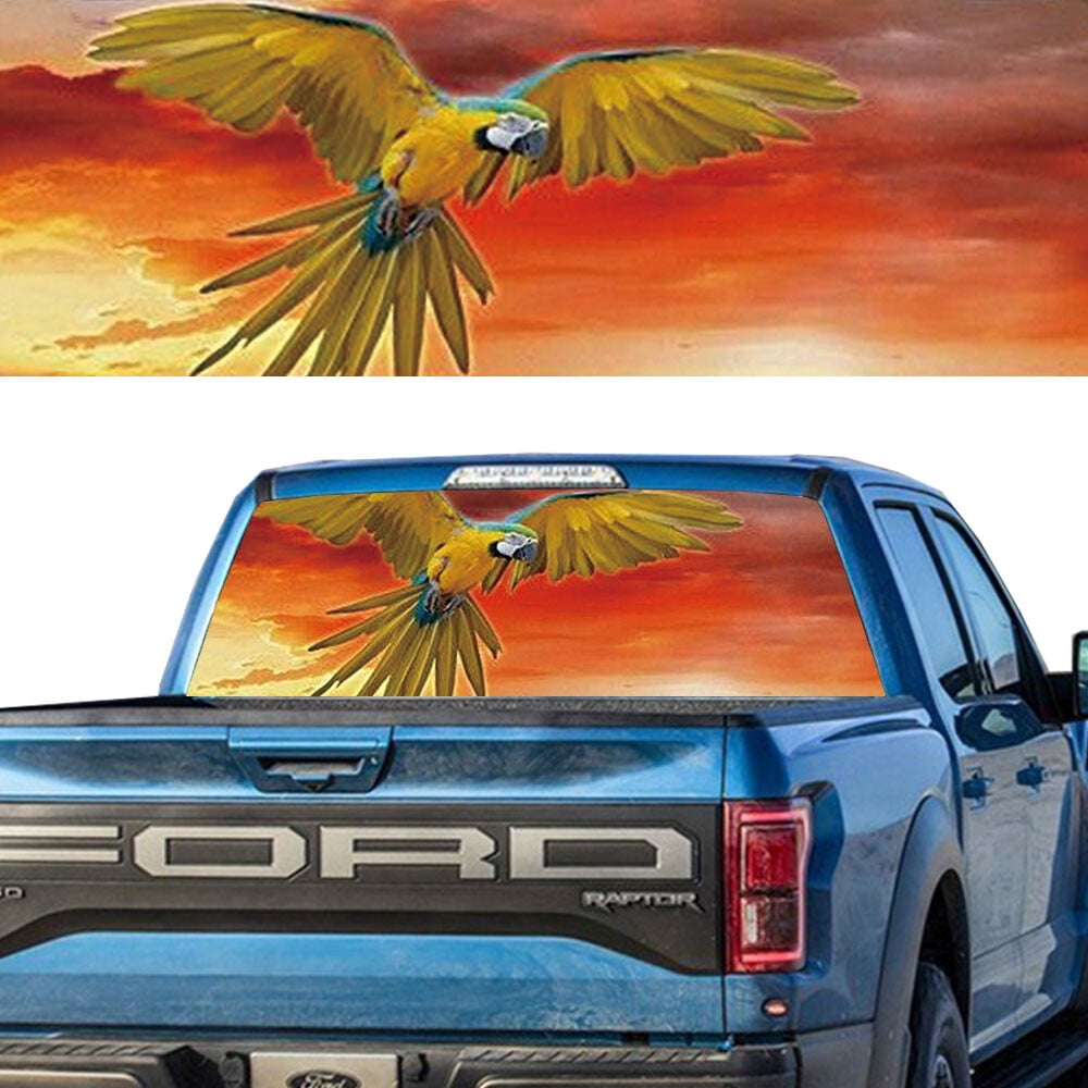 A closer look at Macaw Been Picked Up