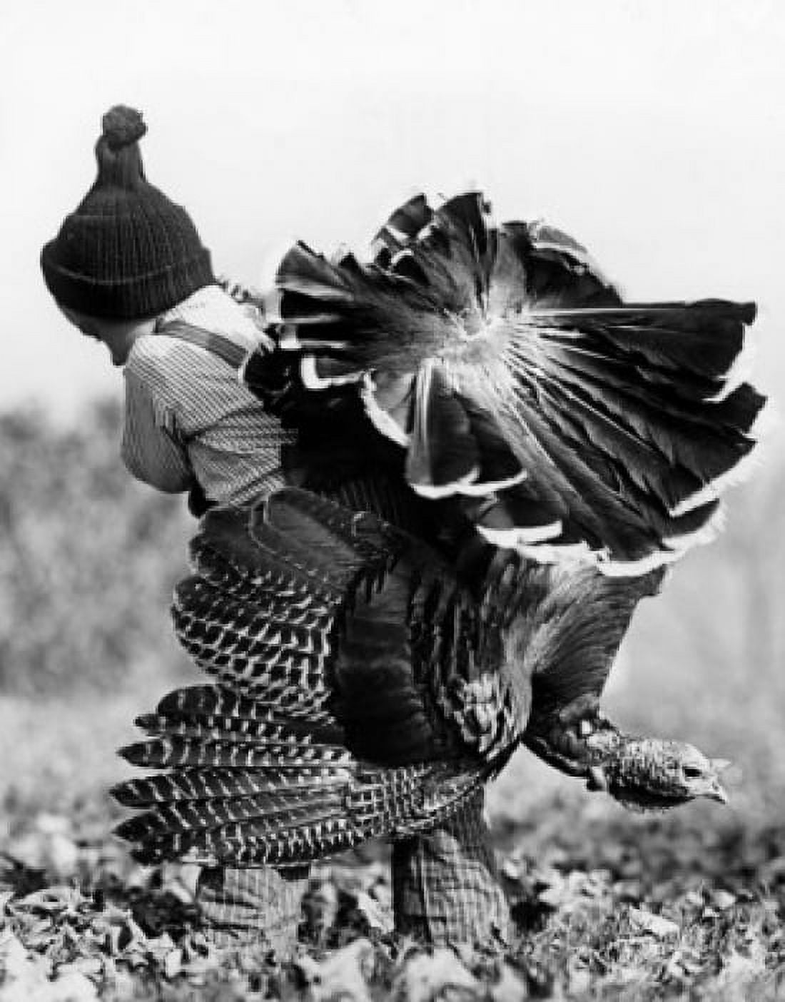Rear view of a boy carrying a turkey Canvas Art - (18 x 24)