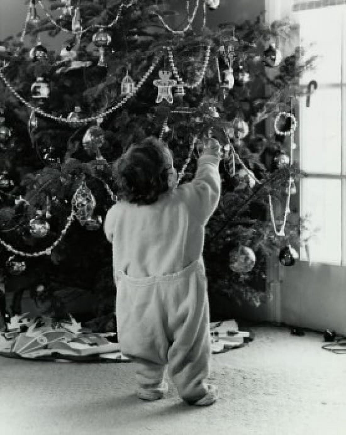 Rear view of a boy holding a decorative ornament on a Christmas tree Canvas Art - (18 x 24)
