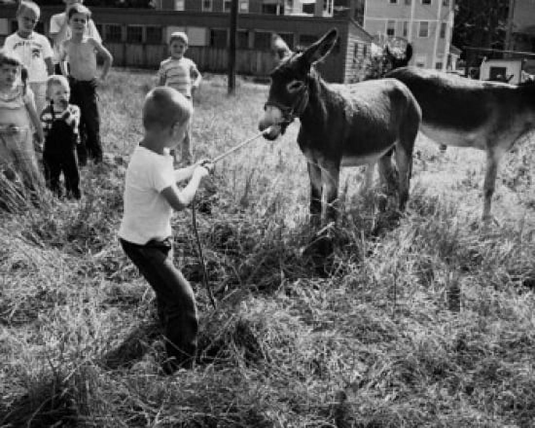 Rear view of a boy pulling a donkey Canvas Art - (18 x 24)