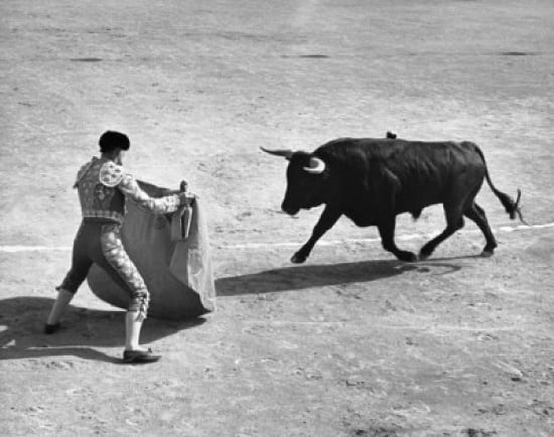 Rear view of a bullfighter fighting with a bull Canvas Art -  (18 x 24)