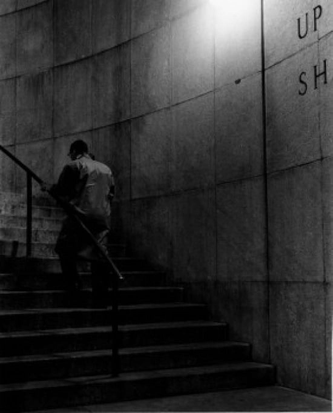 Rear view of a businessman climbing up stairs Canvas Art - (18 x 24)