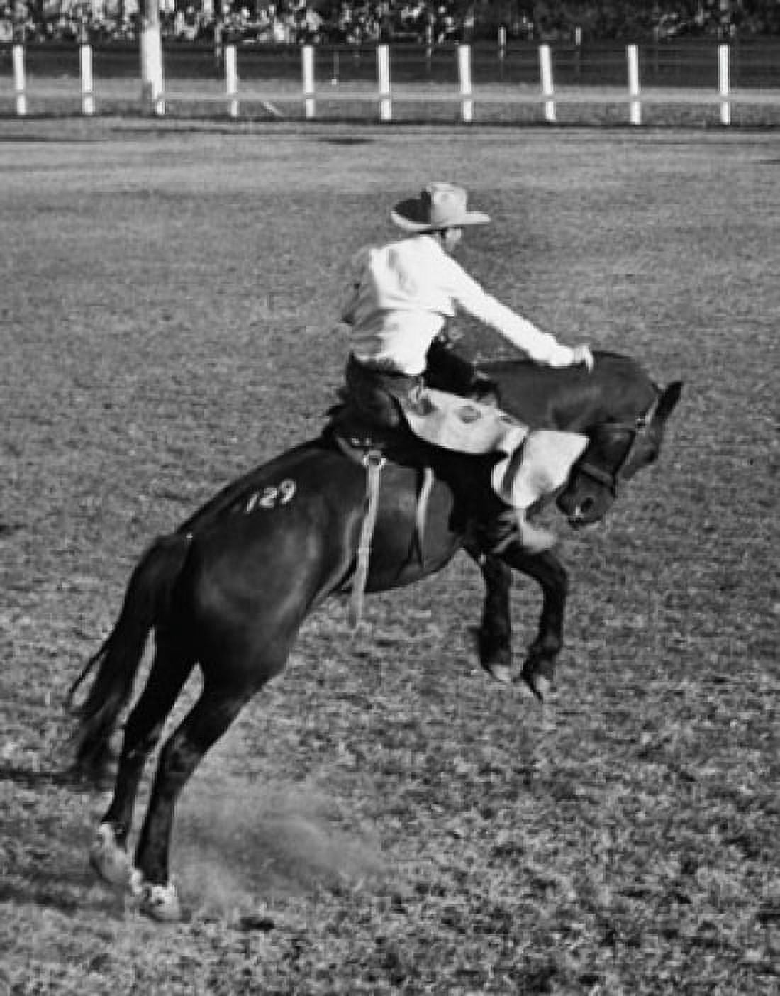 Rear view of a cowboy riding a bucking horse at a rodeo, Ellensburg, Washington, USA Poster