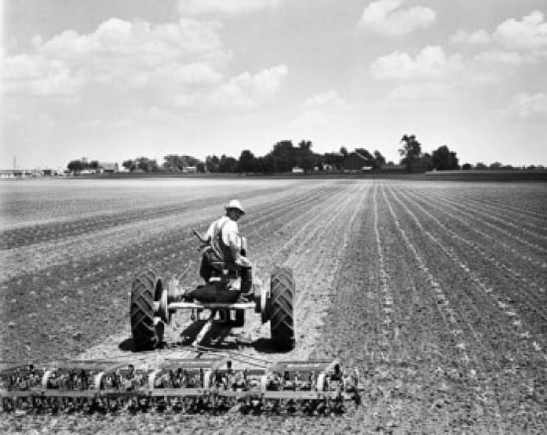 Rear view of a farmer plowing a corn field with a tractor Kankakee Illinois USA Canvas Art - (24 x 36)