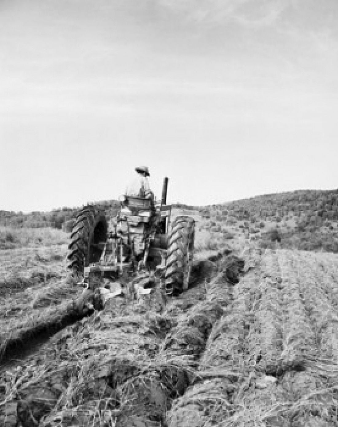 Rear view of a farmer plowing a field with a tractor Canvas Art - (18 x 24)