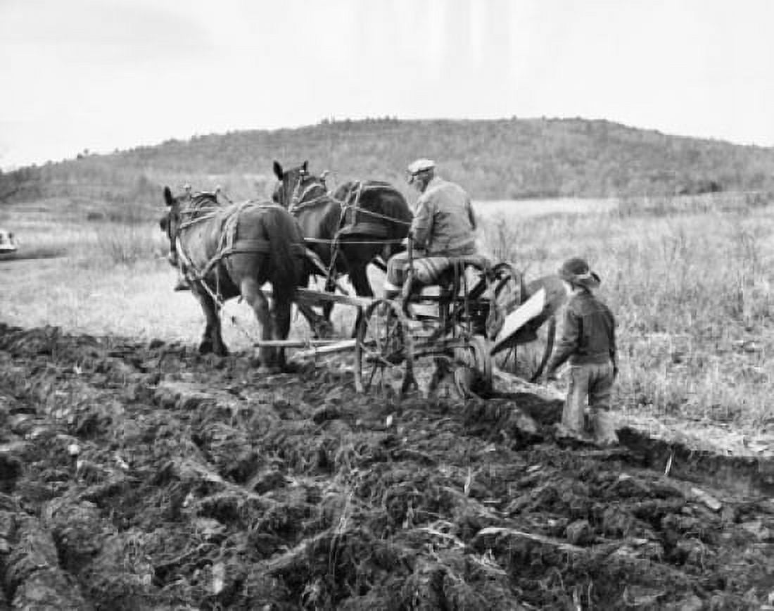 Rear view of a man plowing a field with his son Canvas Art - (18 x 24)