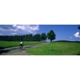 thumbnail image 1 of Rear view of a person riding a bicycle on the road, Black Forest, Germany Poster Print (15 x 6), 1 of 1