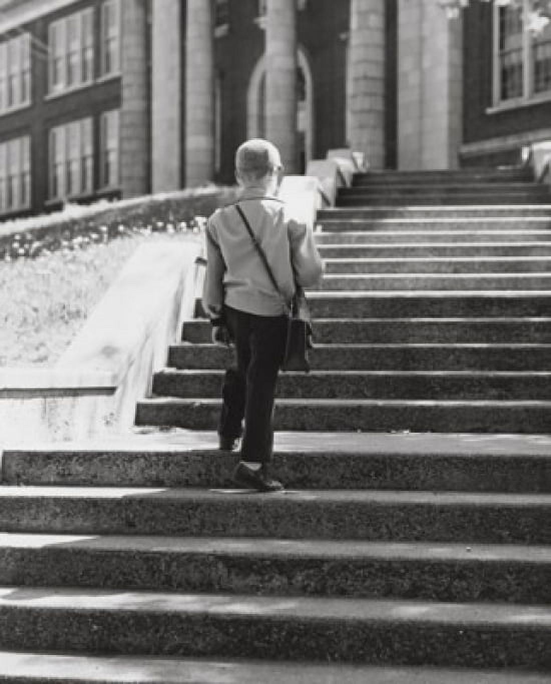 Rear view of a schoolboy climbing up a staircase to school Canvas Art - (18 x 24)