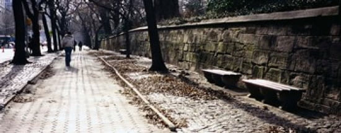 Rear view of a woman walking on a walkway Central Park Manhattan New York City New York USA Canvas Art - Panoramic Images (15 x 6)