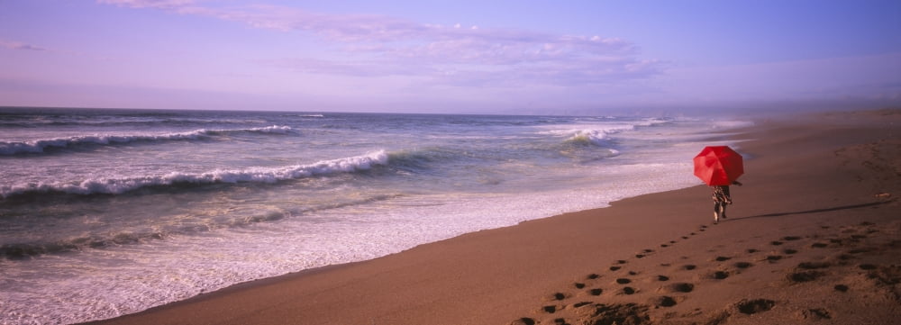 Rear view of a woman walking on the beach with a red umbrella Point Reyes National Seashore California USA Canvas Art - Panoramic Images (27 x 9)