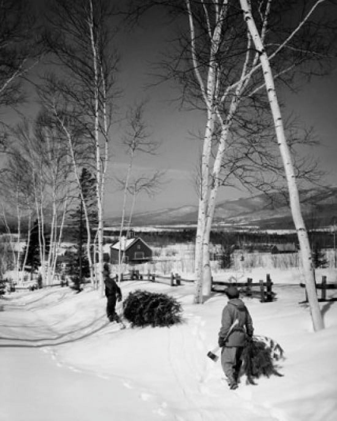 Rear view of two boys pulling Christmas trees on snow Canvas Art - (18 x 24)