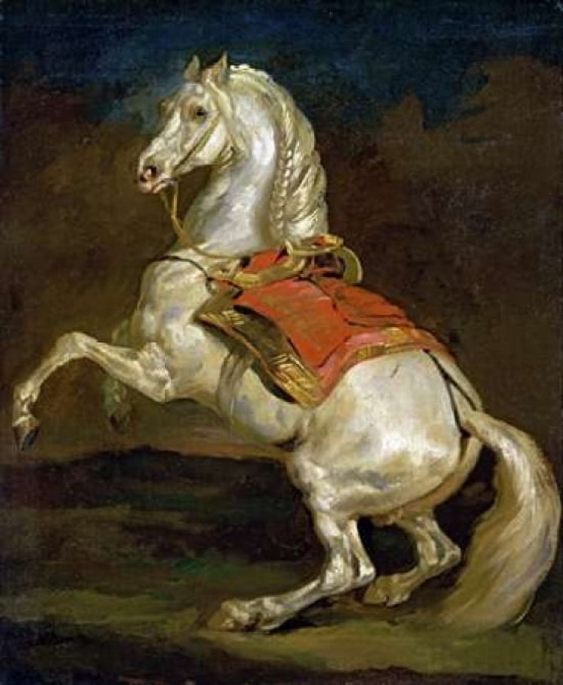 Rearing Horse - Cheval Cabre Canvas Art - Theodore Gericault (20 x 24)