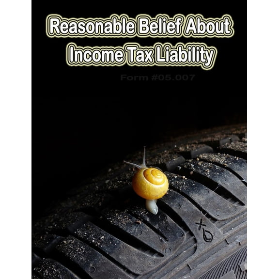 Reasonable Belief About Income Tax Liability: Form #05.007 (Paperback)