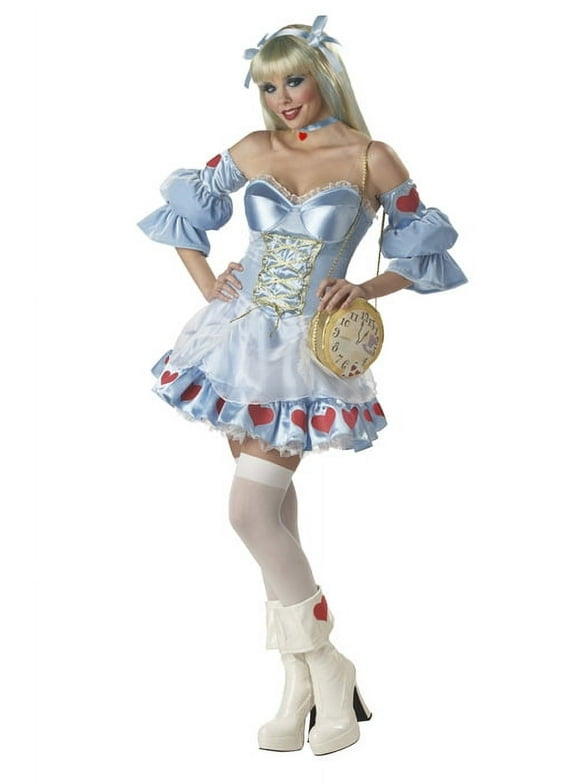 Rebel Toons Alice in Wonderland Adult Costume