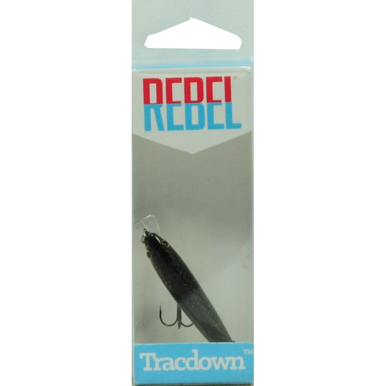 Rebel Track Down Ghost Minnow Slow Sinking Tennessee Shad 2 1/2 1/8 oz.