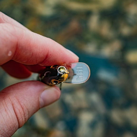 Rebel Track Down Minnow Slick Slow Sinking Slick Gold Minnow 1 5/8" 3/32 oz.