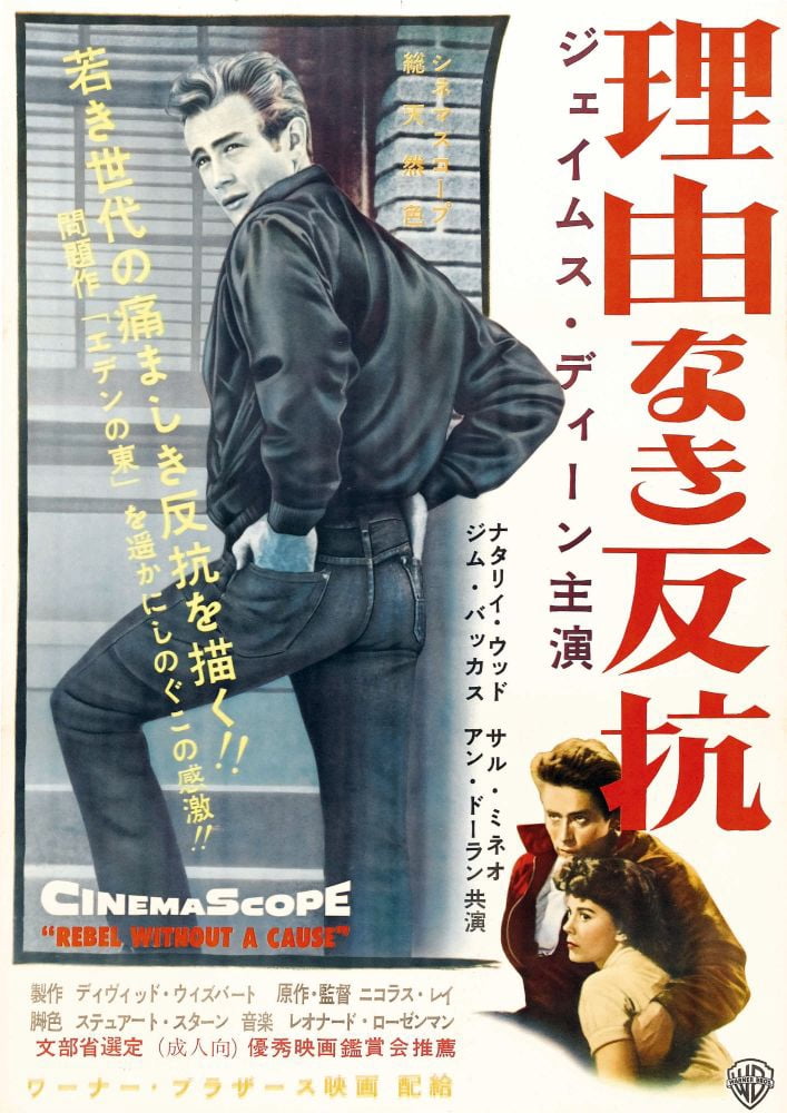 Rebel Without A Cause Canvas Art - (24 x 36)
