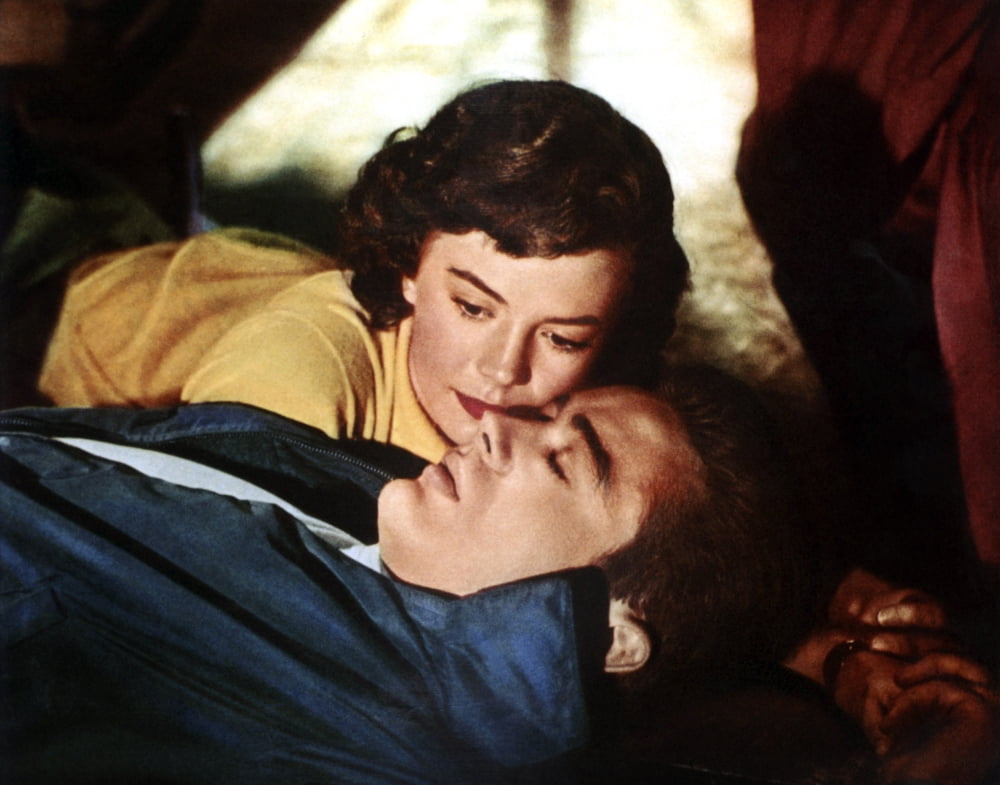 Rebel Without A Cause Canvas Art - (28 x 22)