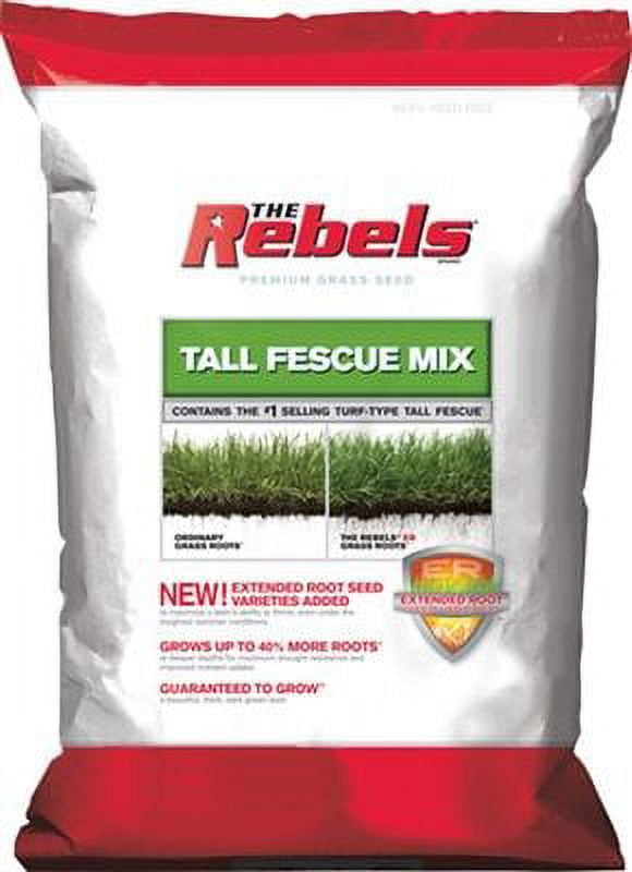 Rebels Tall Fescue Grass Seed - 3 Lbs.