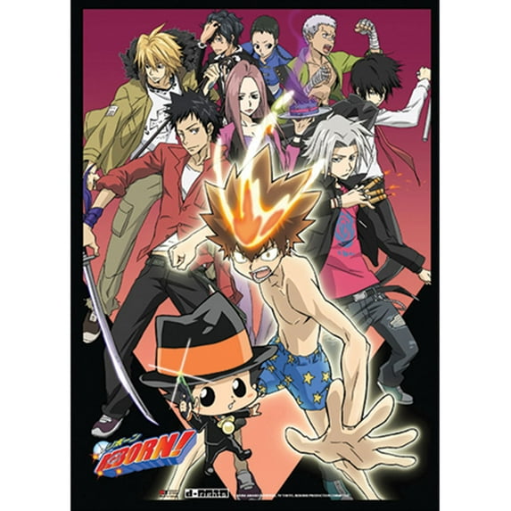 Reborn! WallScroll