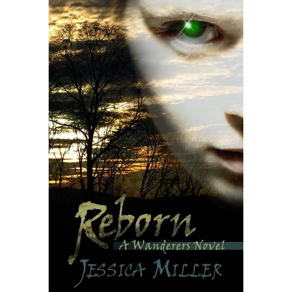 Wanderers: Reborn (wanderers, #2) (Paperback)