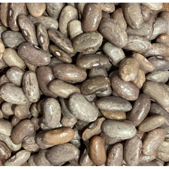 Rebosero Mexican Refried Bean Heirloom Seed Packet