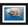 thumbnail image 1 of Rebro, Marcel 24x17 Black Ornate Wood Framed with Double Matting Museum Art Print Titled - Great White, 1 of 4