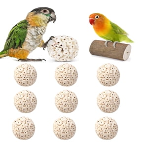 Rechale 9 Pcs Bird Parrot Chew Toy Sola Balls, Natural Parrot Soft Chew Shredding & Foraging Toy, Bird Foot Balls for Cockatiel Conure Quaker Budgie Parakeet Bunny Guinea Pig Chinchilla Rabbi